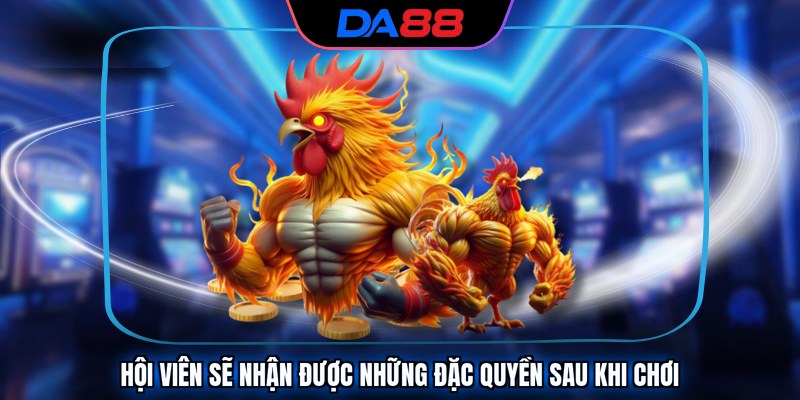 Hội viên sẽ nhận được những đặc quyền sau khi chơi